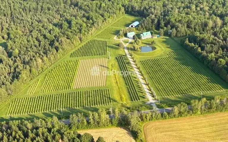 Vignoble à Valcourt