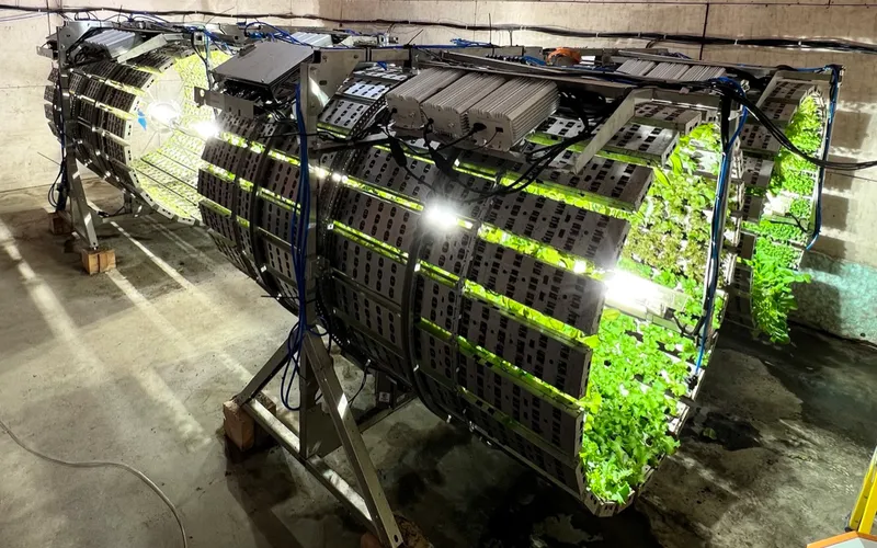 DES LÉGUMES LOCAUX 12 MOIS/AN — UNE PRODUCTION RENTABLE