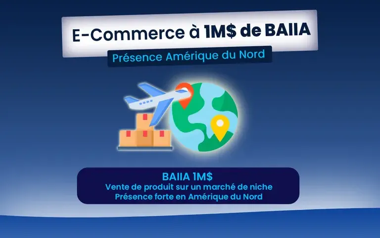 EC30784 - Groupe e-commerce international, Niche premium, Plus de 1 000 000 $ CAD de BAIIA - Entreprise européenne, opérable depuis le Québec dès l'acquisition