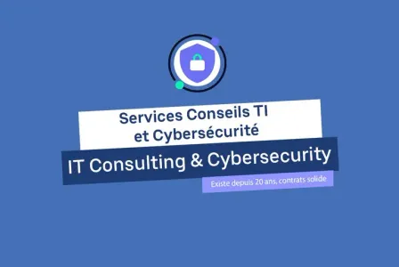 EC61497 - Services Conseils TI et Cybersécurité | Autorisations Gouvernementales Exclusives