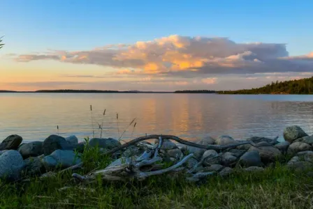 Temporairement Hors Marché: Résidence pour Aînés en Abitibi moins de 50 unités