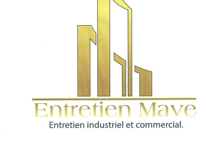 Machines de nettoyage commercial à vendre 